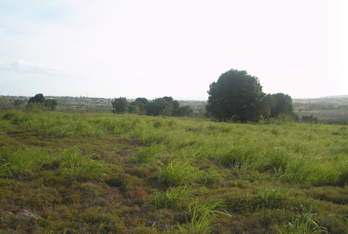 First image of Round Hill, St. Elizabeth in Treasure Beach, St. Elizabeth, Jamaica - property is For Sale