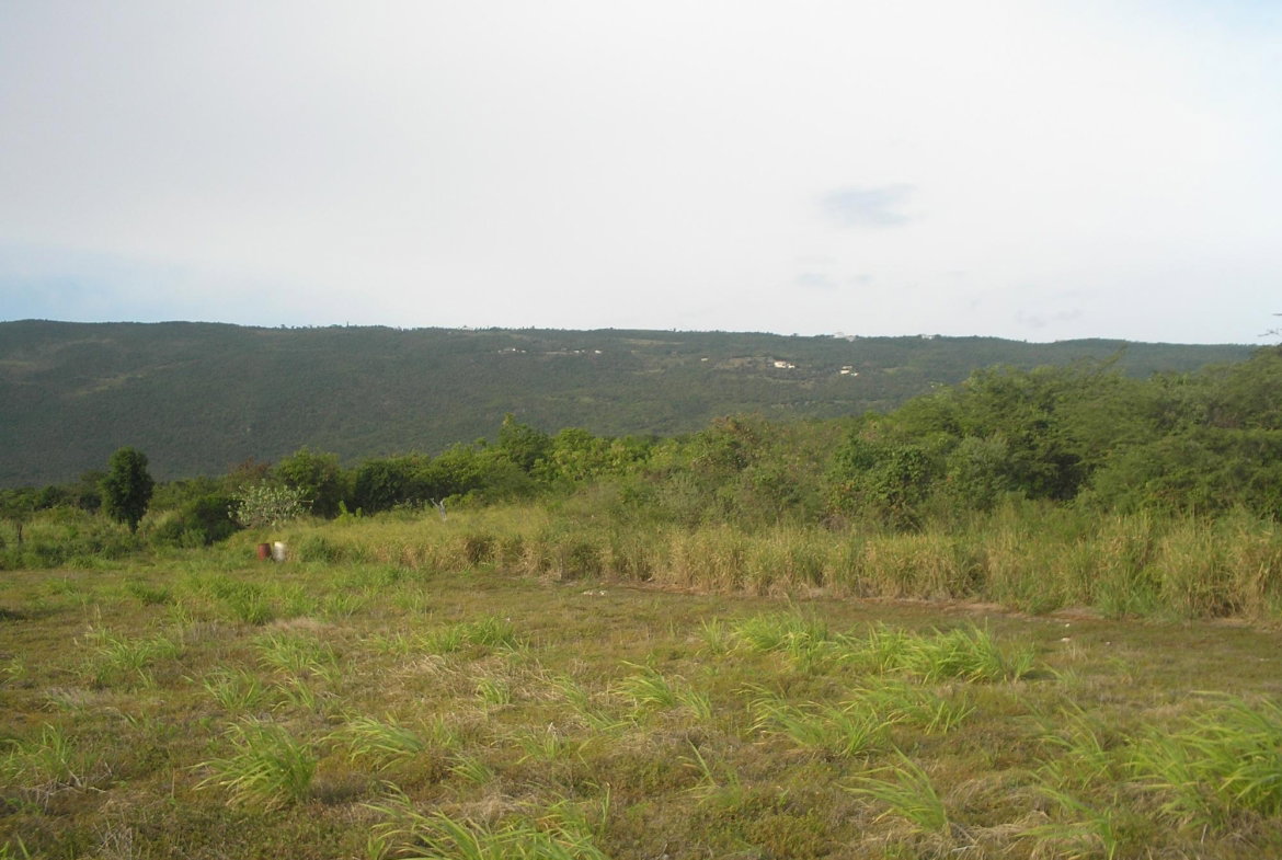 Fourth image of Round Hill, St. Elizabeth in Treasure Beach, St. Elizabeth, Jamaica - property is For Sale