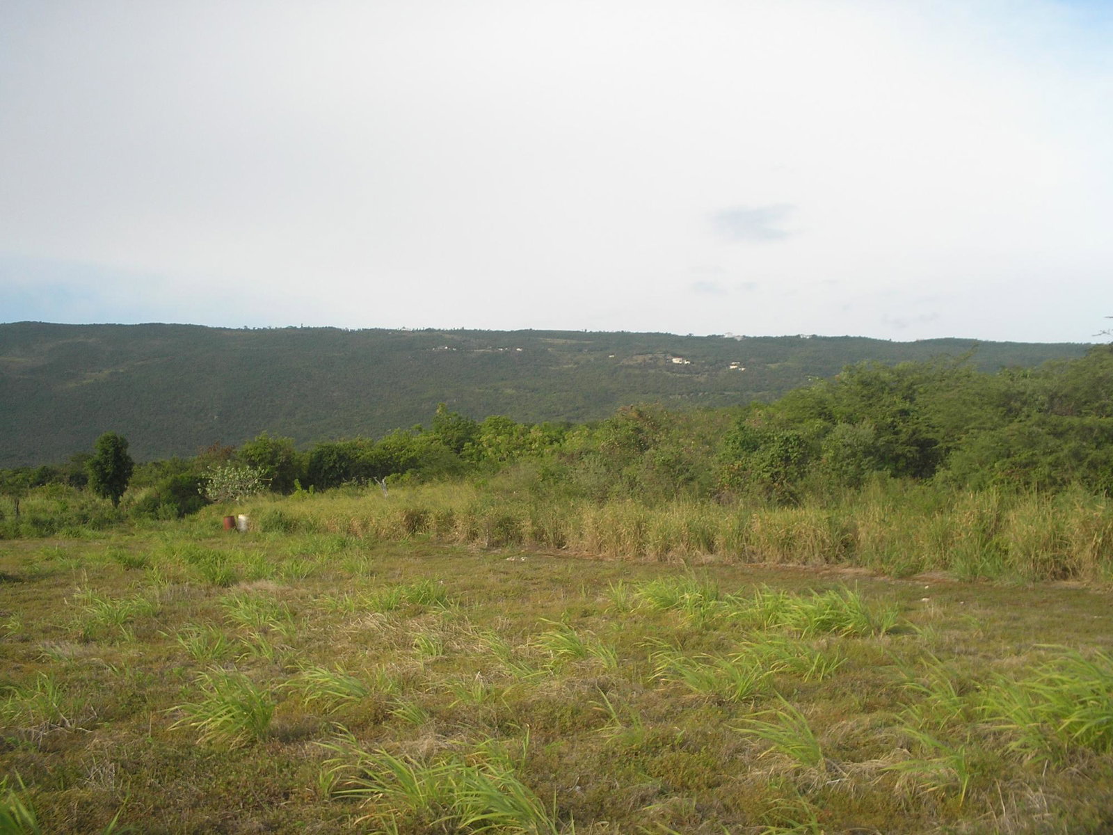 Fourth image of Round Hill, St. Elizabeth in Treasure Beach, St. Elizabeth, Jamaica - property is For Sale
