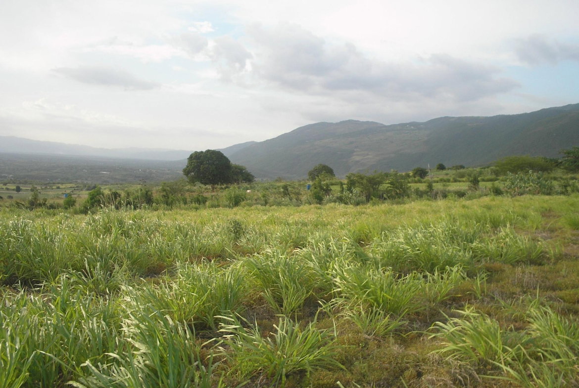 Fifth image of Round Hill, St. Elizabeth in Treasure Beach, St. Elizabeth, Jamaica - property is For Sale