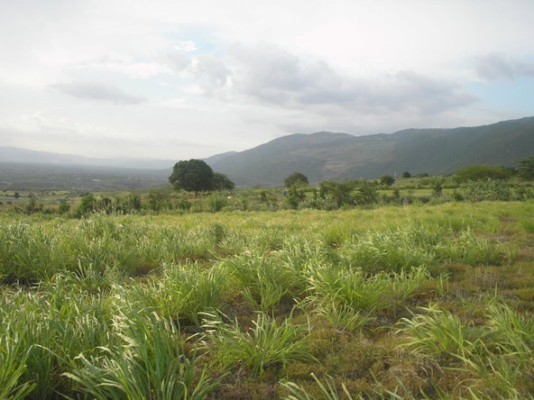 Fifth image of Round Hill, St. Elizabeth in Treasure Beach, St. Elizabeth, Jamaica - property is For Sale