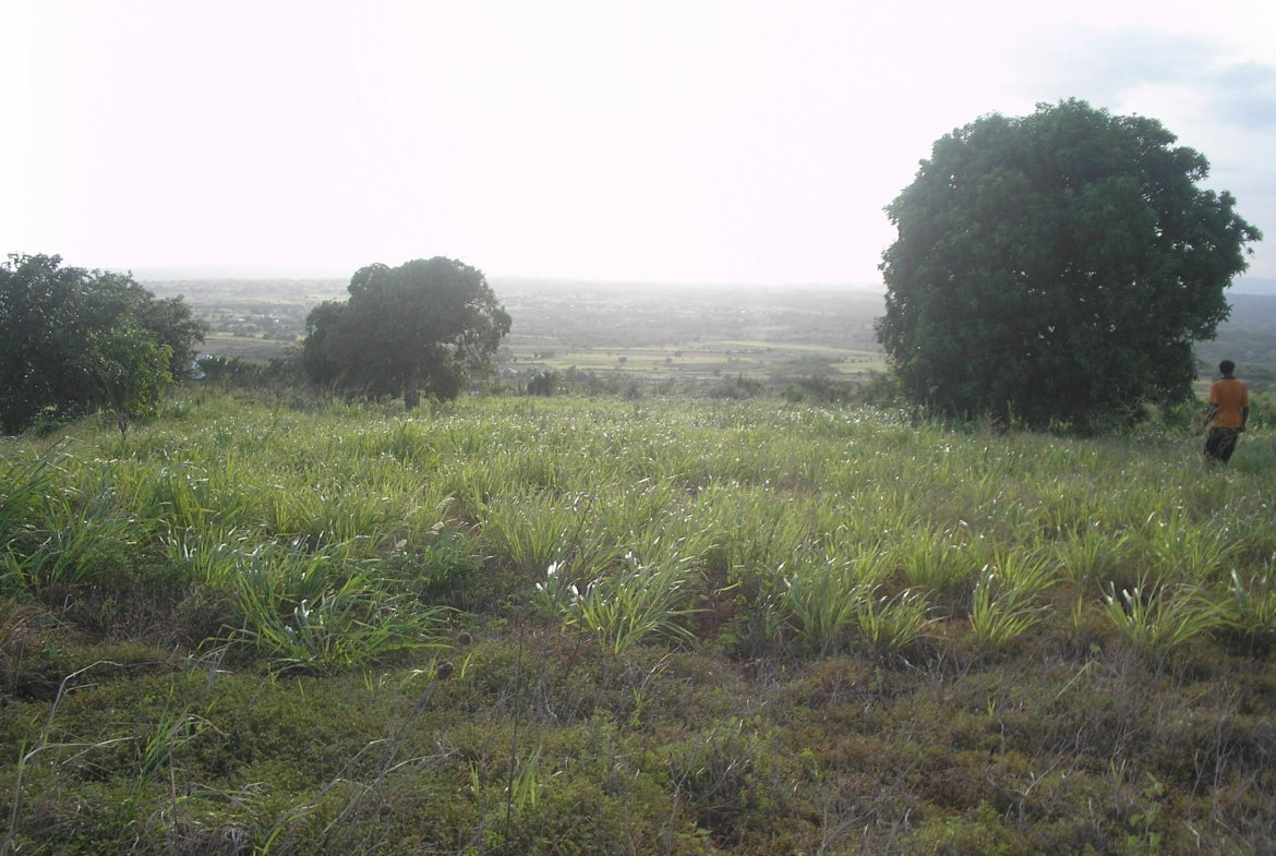 Sixth image of Round Hill, St. Elizabeth in Treasure Beach, St. Elizabeth, Jamaica - property is For Sale