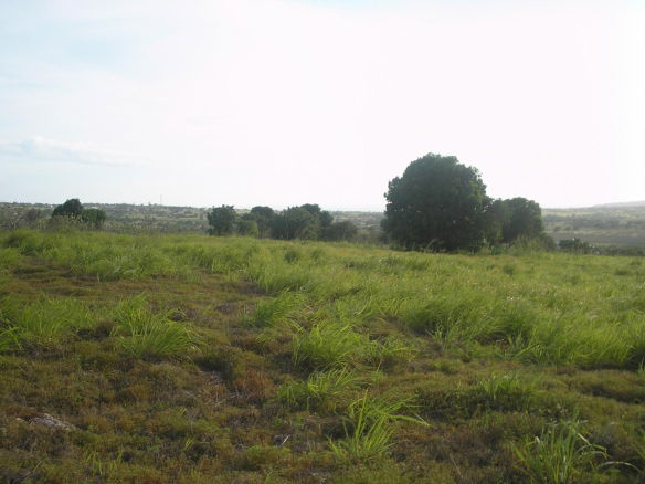 First image of Round Hill, St. Elizabeth in Treasure Beach, St. Elizabeth, Jamaica - property is For Sale