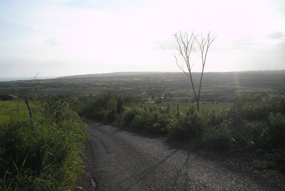 Seventh image of Round Hill, St. Elizabeth in Treasure Beach, St. Elizabeth, Jamaica - property is For Sale