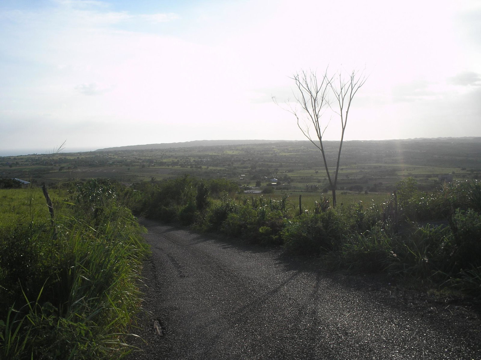 Seventh image of Round Hill, St. Elizabeth in Treasure Beach, St. Elizabeth, Jamaica - property is For Sale