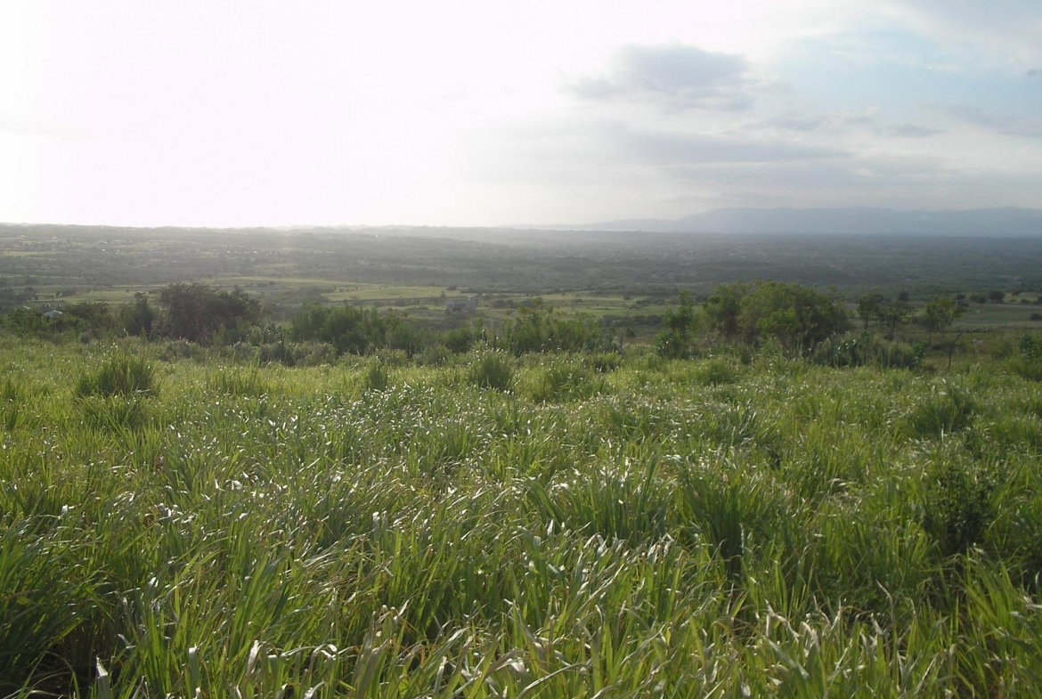 Eighth image of Round Hill, St. Elizabeth in Treasure Beach, St. Elizabeth, Jamaica - property is For Sale