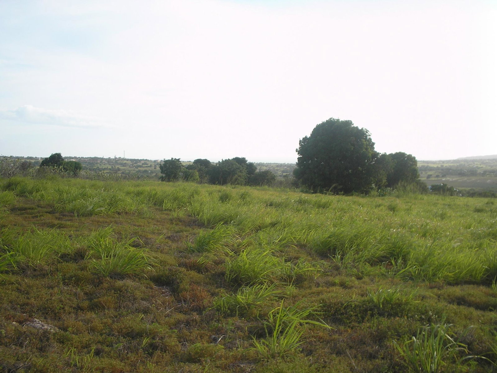 First image of Round Hill, St. Elizabeth in Treasure Beach, St. Elizabeth, Jamaica - property is For Sale