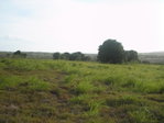First image of Round Hill, St. Elizabeth in Treasure Beach, St. Elizabeth, Jamaica - property is For Sale