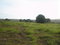 First image of Round Hill, St. Elizabeth in Treasure Beach, St. Elizabeth, Jamaica - property is For Sale