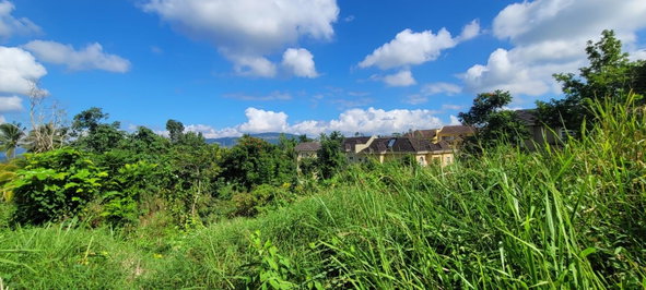 Second image of Battersea in Mandeville, Manchester, Jamaica - property is For Sale