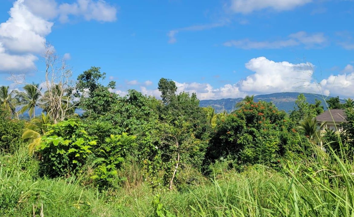 Third image of Battersea in Mandeville, Manchester, Jamaica - property is For Sale