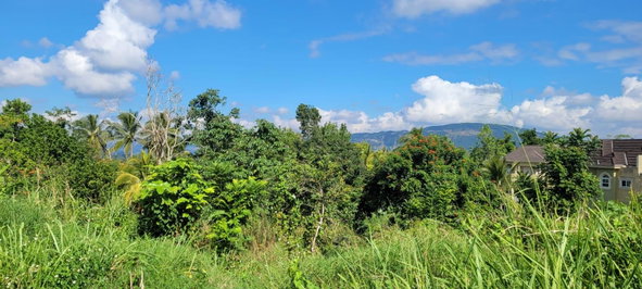 Third image of Battersea in Mandeville, Manchester, Jamaica - property is For Sale