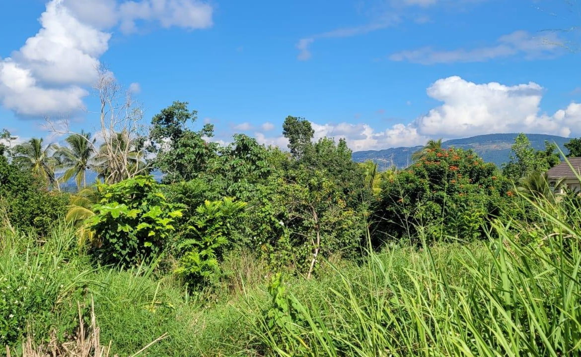Fourth image of Battersea in Mandeville, Manchester, Jamaica - property is For Sale