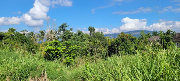 Fourth image of Battersea in Mandeville, Manchester, Jamaica - property is For Sale