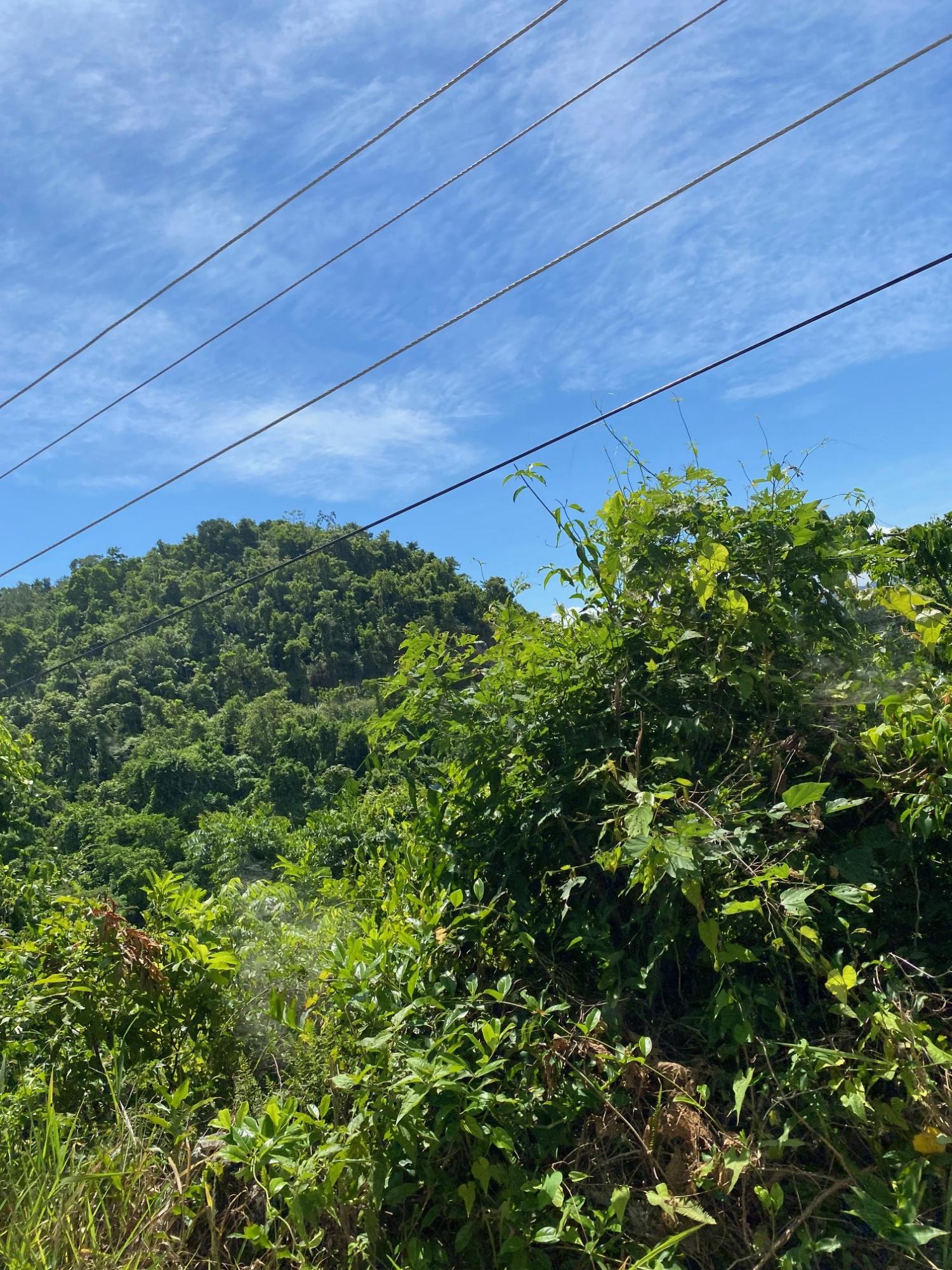 Second image of Mile Gully in MILE GULLY, Manchester, Jamaica - property is For Sale