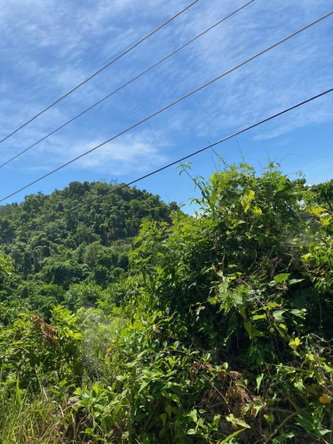 Second image of Mile Gully in MILE GULLY, Manchester, Jamaica - property is For Sale