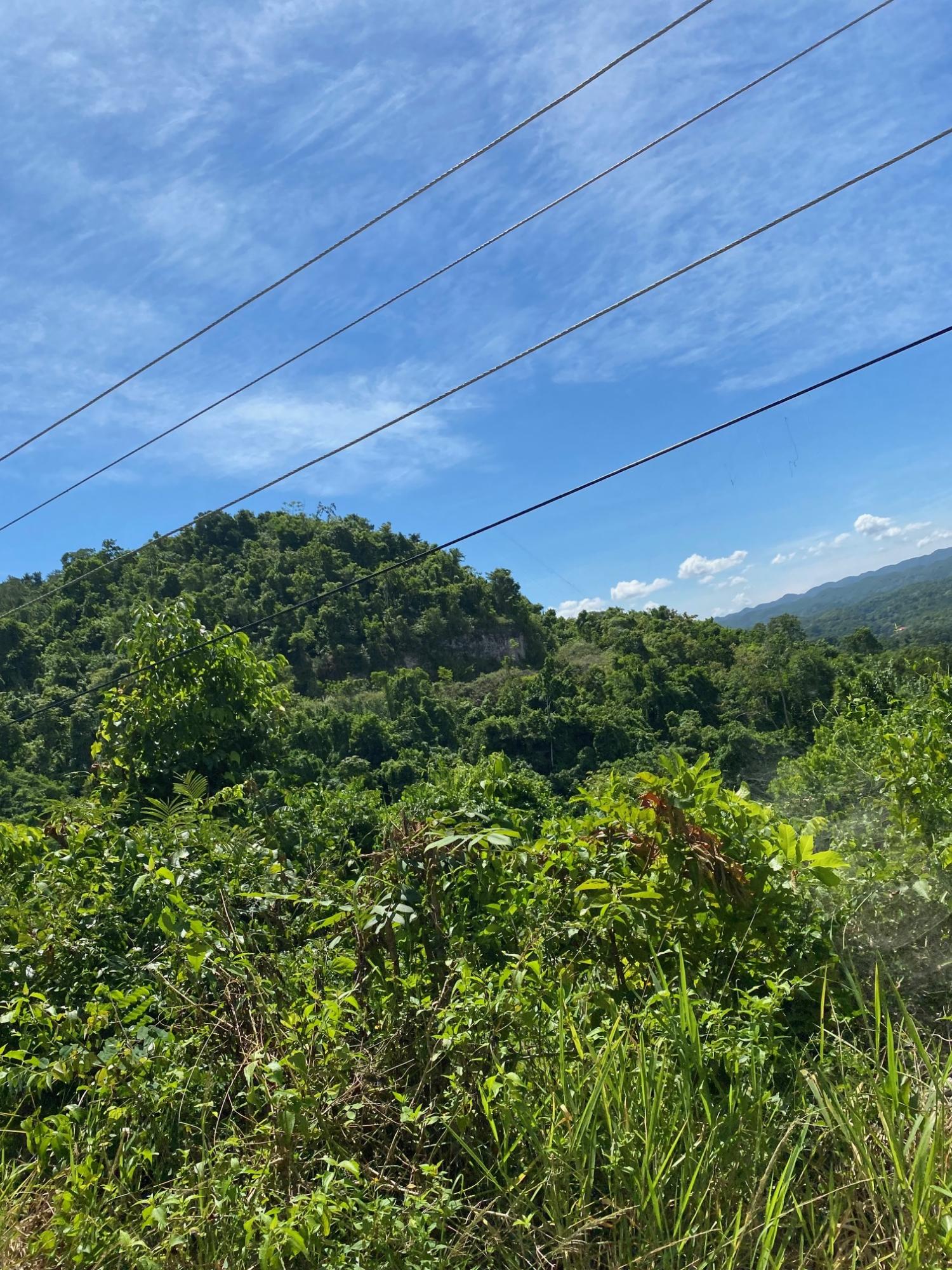Third image of Mile Gully in MILE GULLY, Manchester, Jamaica - property is For Sale