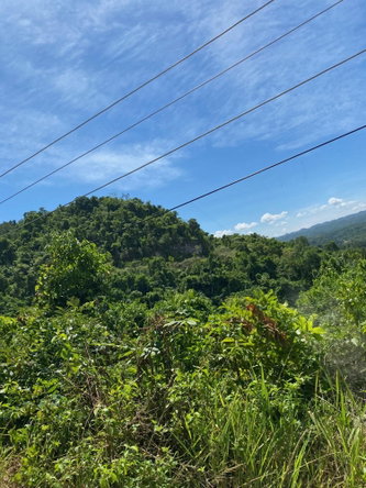Third image of Mile Gully in MILE GULLY, Manchester, Jamaica - property is For Sale