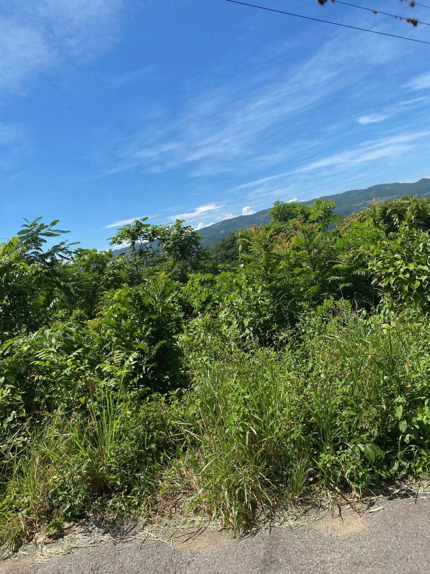 Fourth image of Mile Gully in MILE GULLY, Manchester, Jamaica - property is For Sale