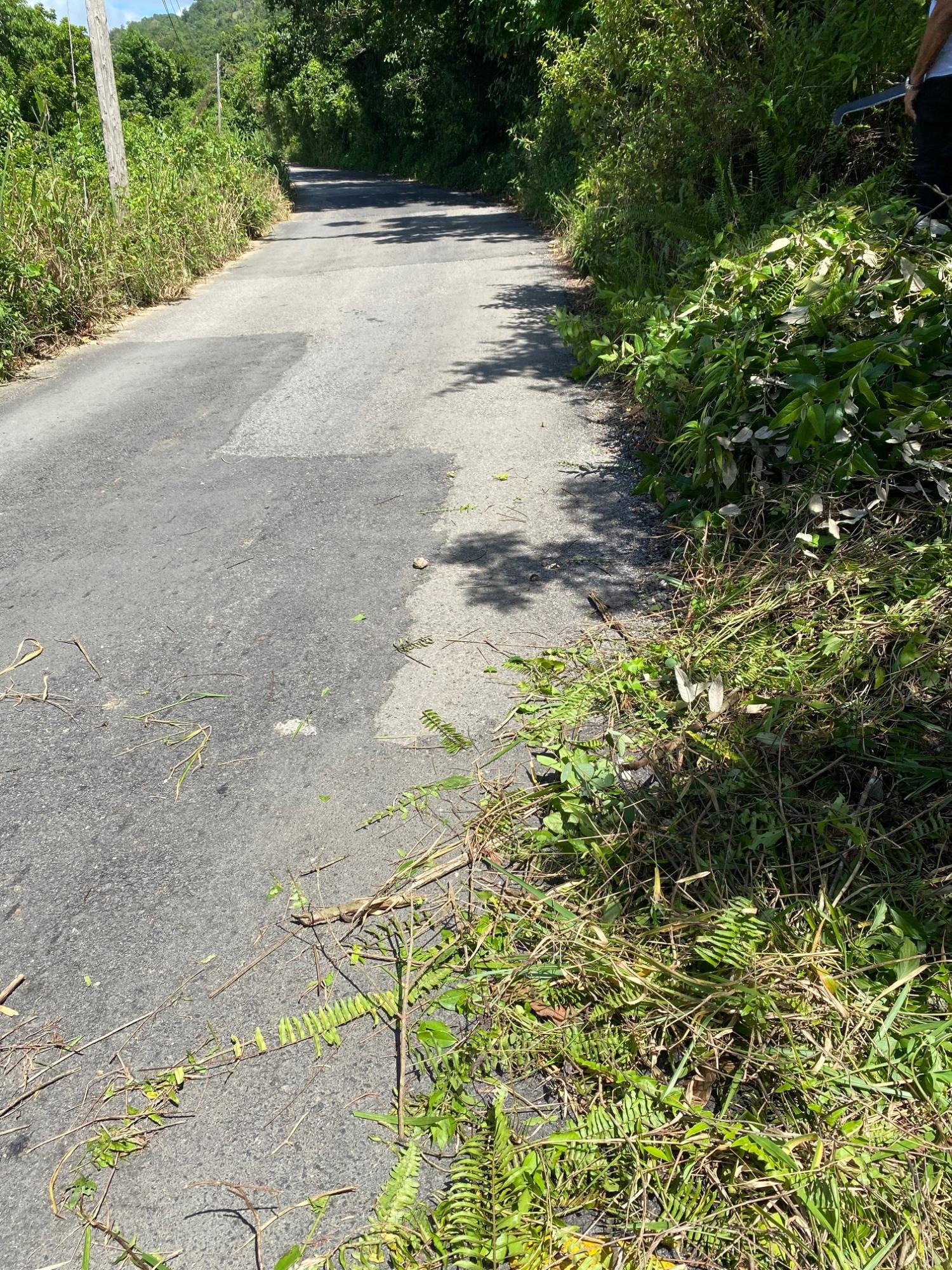 Seventh image of Mile Gully in MILE GULLY, Manchester, Jamaica - property is For Sale