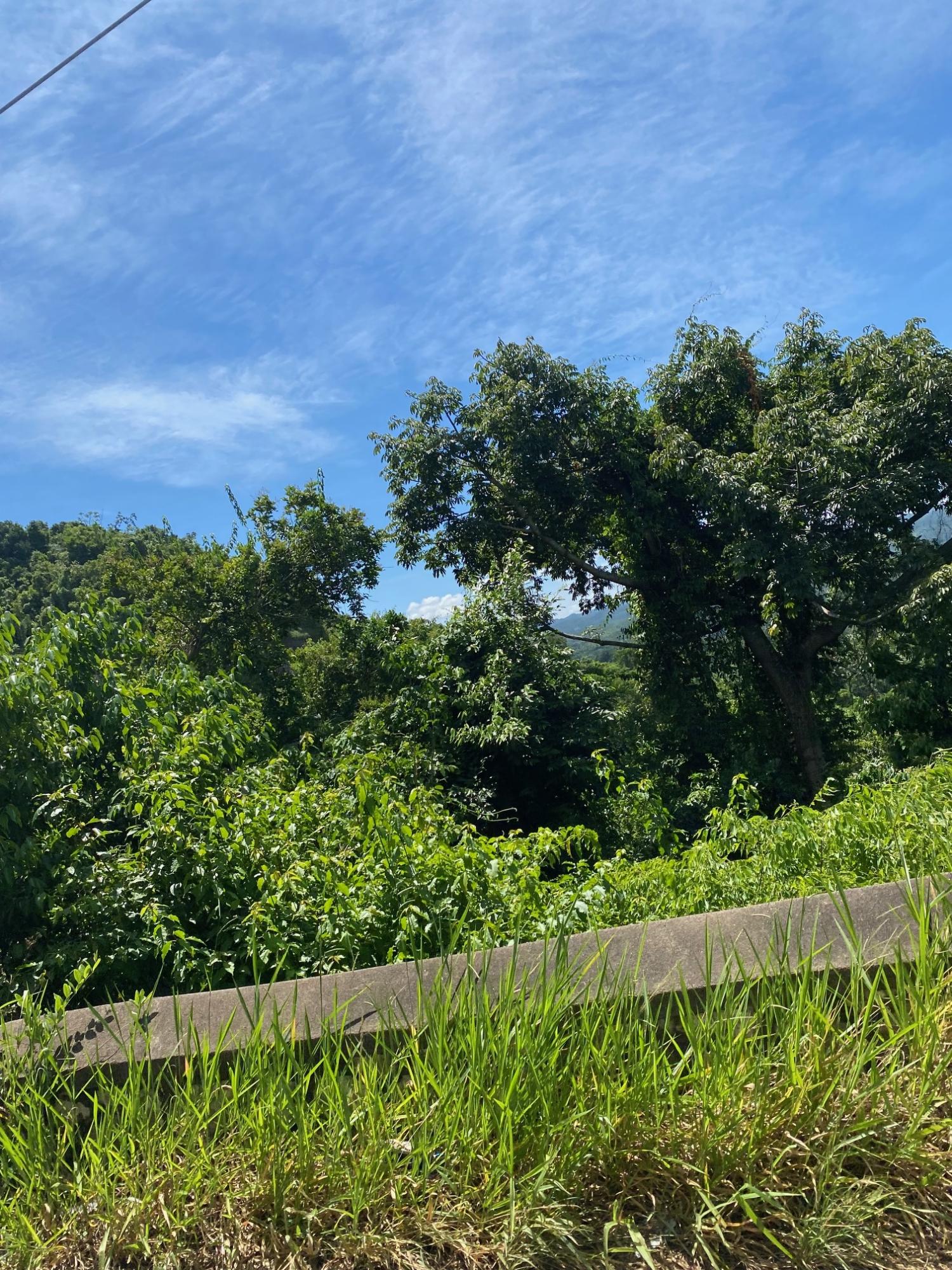First image of Mile Gully in MILE GULLY, Manchester, Jamaica - property is For Sale