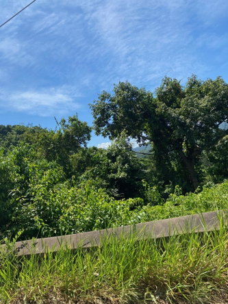 First image of Mile Gully in MILE GULLY, Manchester, Jamaica - property is For Sale