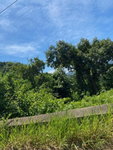 First image of Mile Gully in MILE GULLY, Manchester, Jamaica - property is For Sale