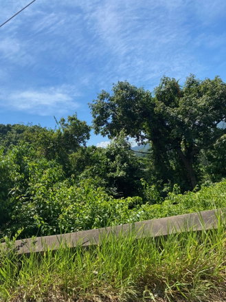 First image of Mile Gully in MILE GULLY, Manchester, Jamaica - property is For Sale