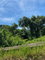 First image of Mile Gully in MILE GULLY, Manchester, Jamaica - property is For Sale