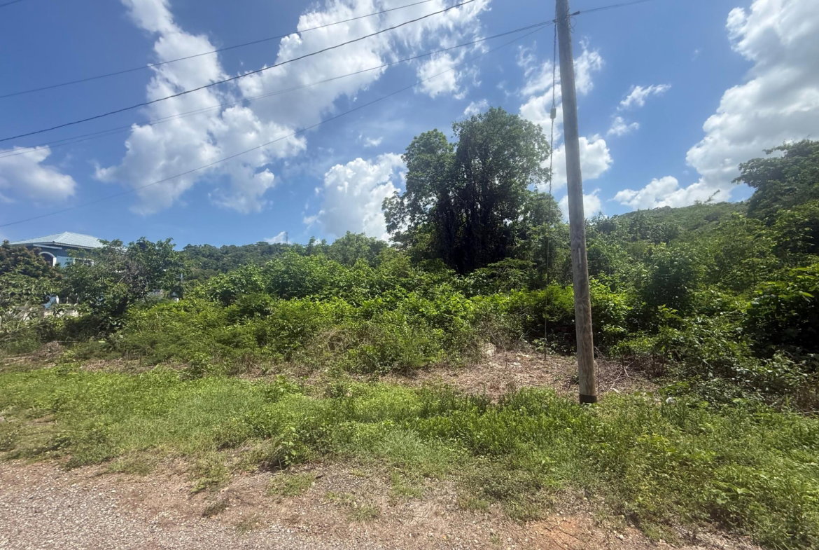 Sixth image of 80- Puie Drive, Cardiff Hall in Runaway Bay, St. Ann, Jamaica - property is For Sale