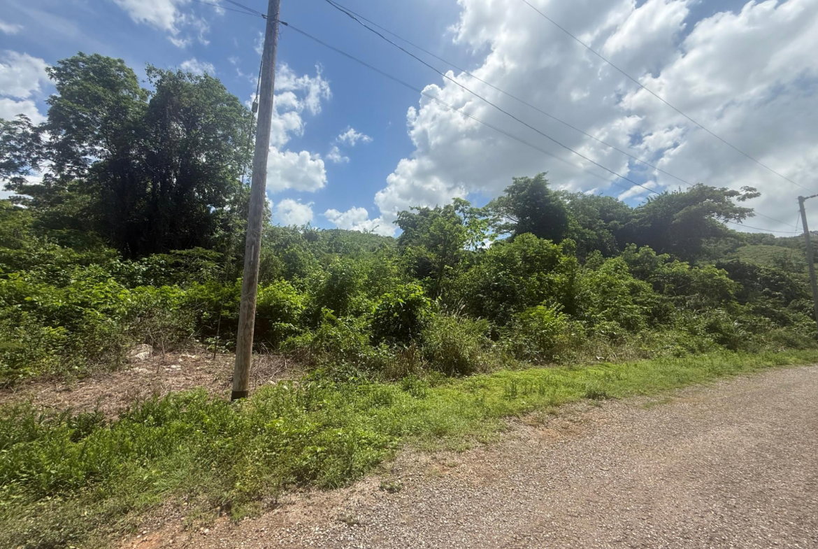 Seventh image of 80- Puie Drive, Cardiff Hall in Runaway Bay, St. Ann, Jamaica - property is For Sale