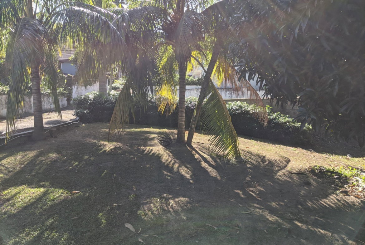 Third image of 31 Norbrook Road in Kingston 8, St. Andrew, Jamaica - property is For Sale