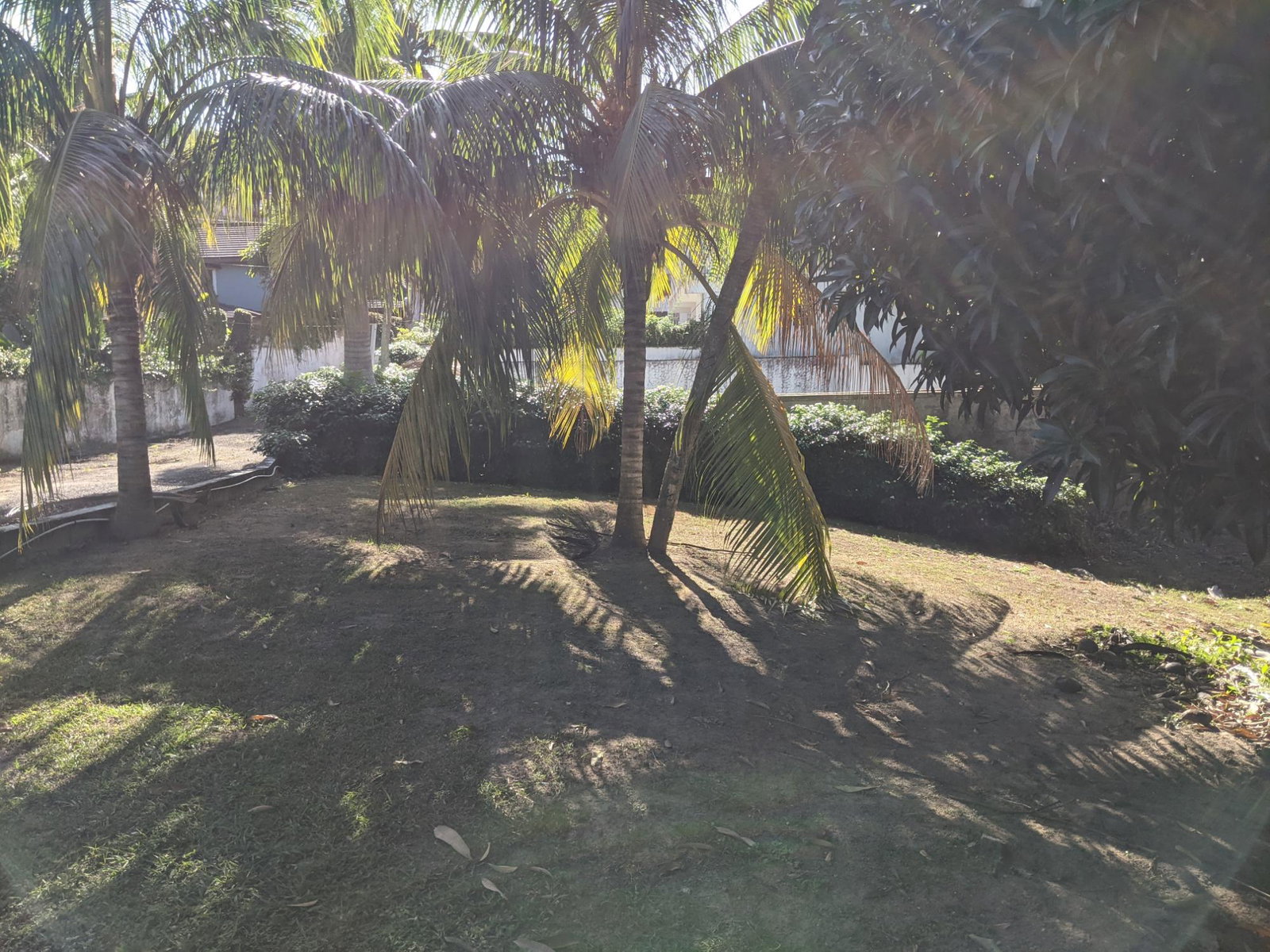 Third image of 31 Norbrook Road in Kingston 8, St. Andrew, Jamaica - property is For Sale