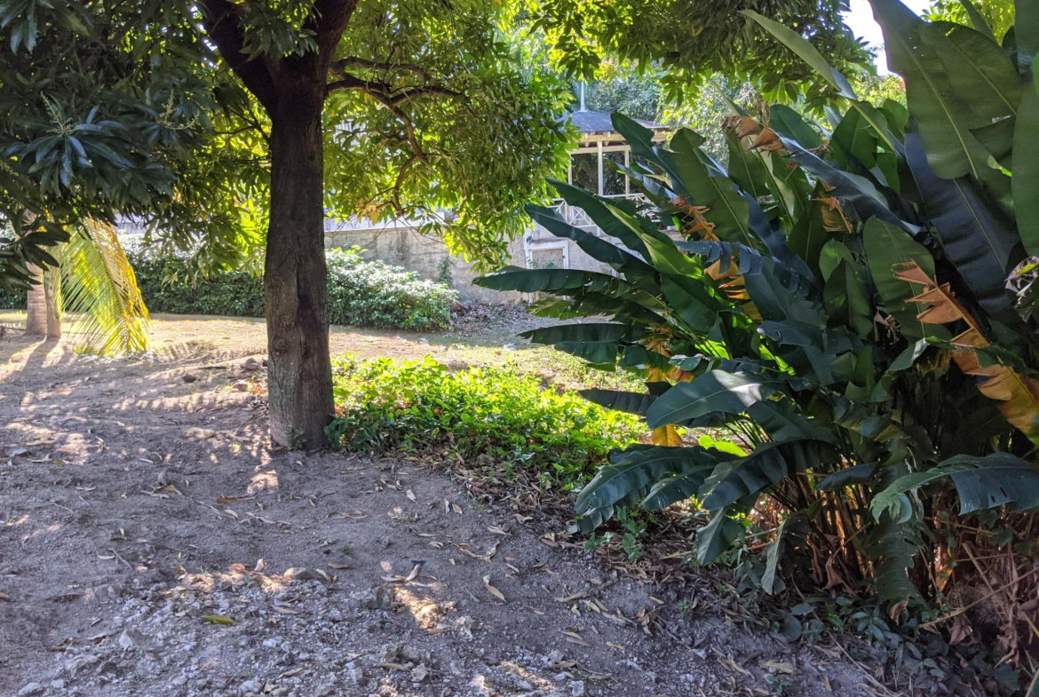 Fourth image of 31 Norbrook Road in Kingston 8, St. Andrew, Jamaica - property is For Sale