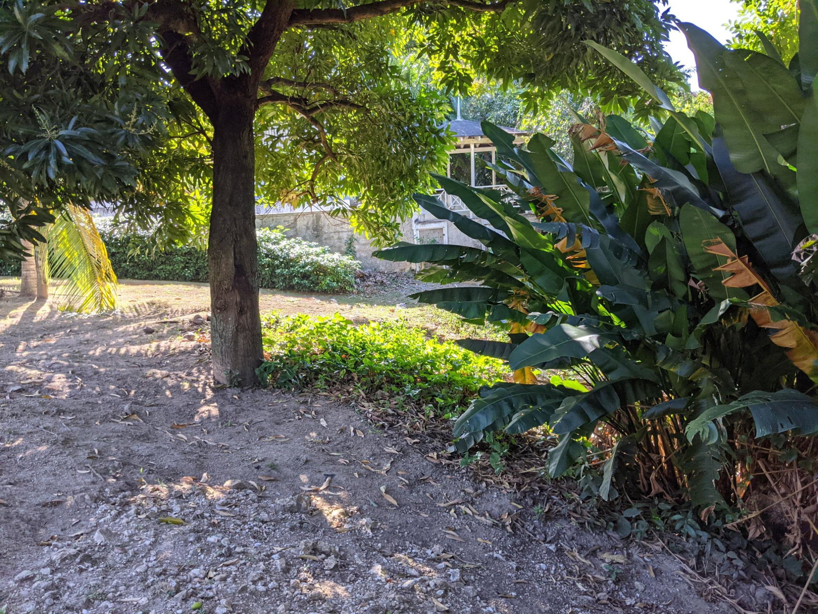 Fourth image of 31 Norbrook Road in Kingston 8, St. Andrew, Jamaica - property is For Sale