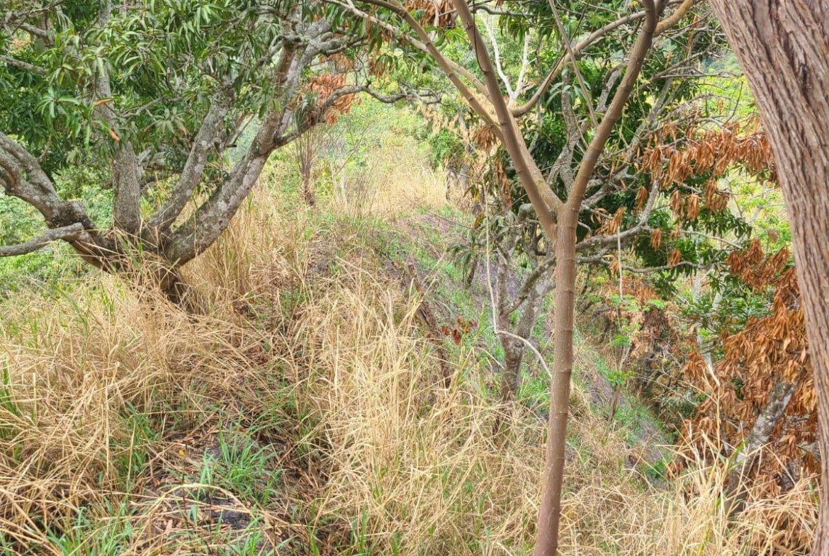 Second image of Hermitage Norbrook Kingst in Kingston 8, St. Andrew, Jamaica - property is For Sale