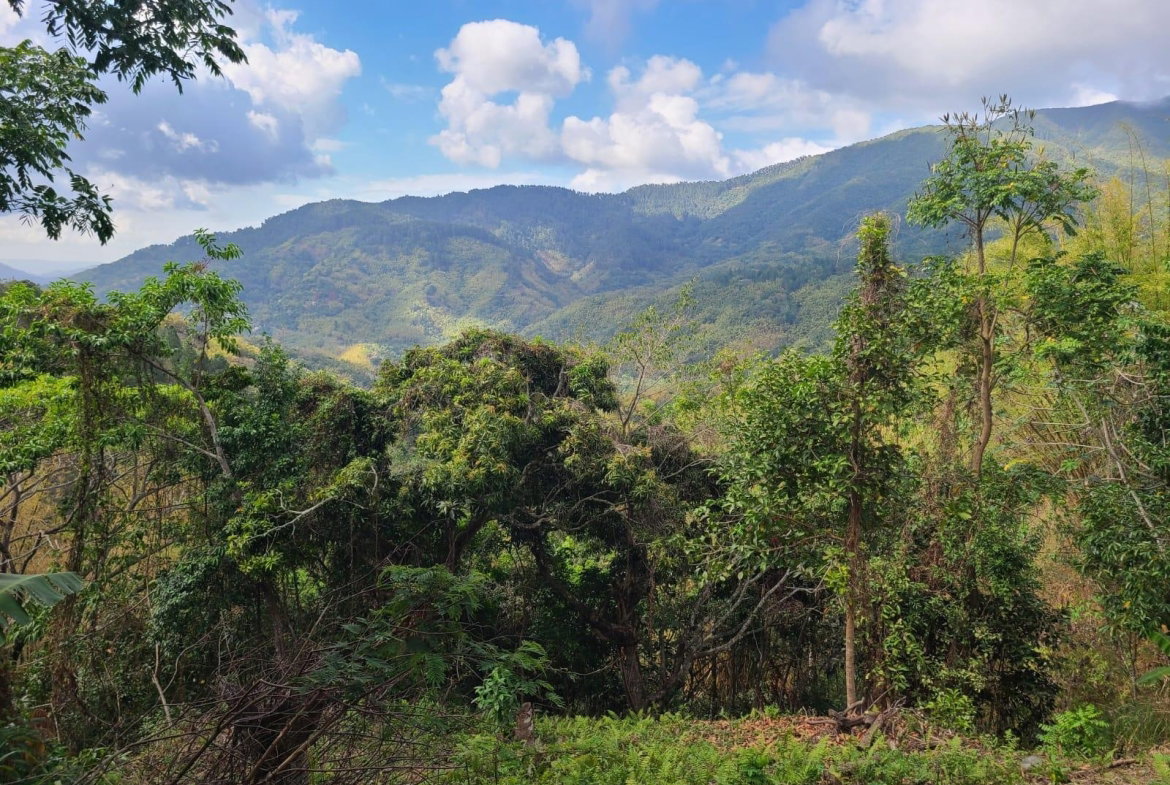 First image of Hermitage Norbrook Kingst in Kingston 8, St. Andrew, Jamaica - property is For Sale