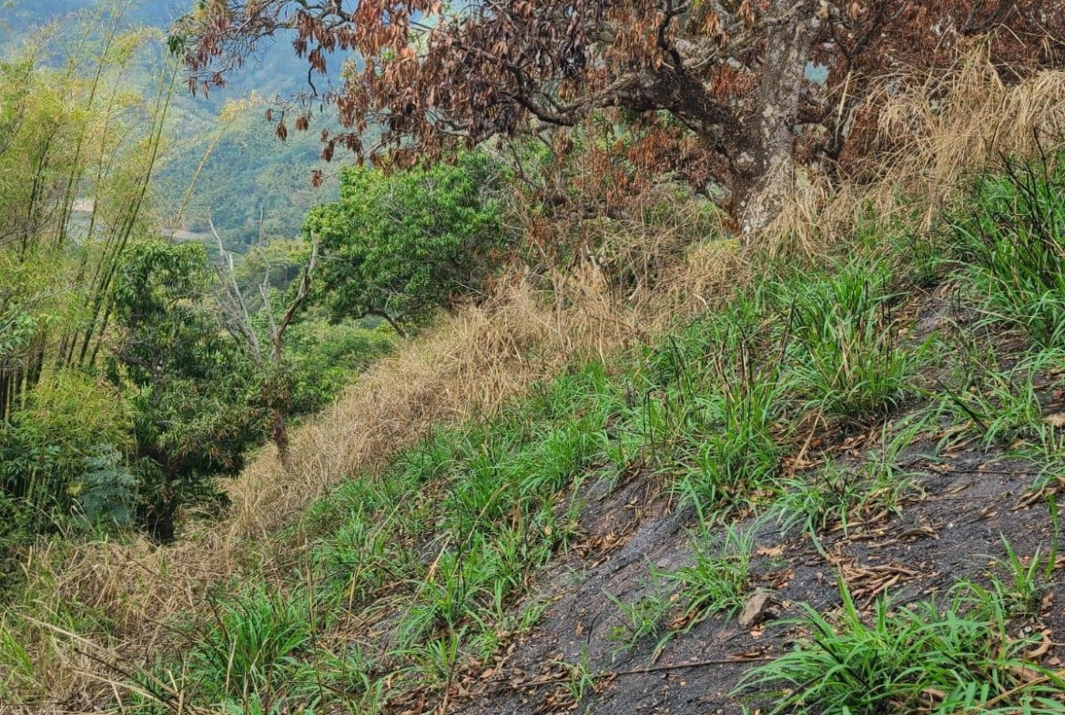 Third image of Hermitage Norbrook Kingst in Kingston 8, St. Andrew, Jamaica - property is For Sale