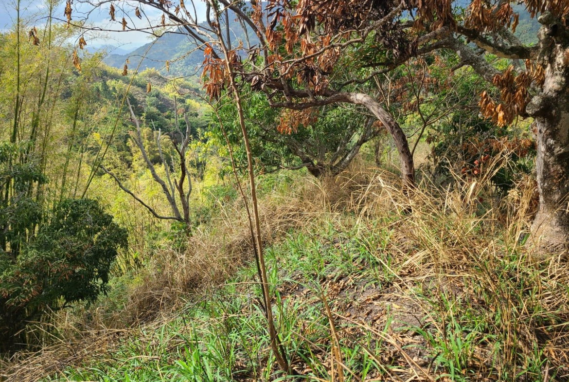 Fourth image of Hermitage Norbrook Kingst in Kingston 8, St. Andrew, Jamaica - property is For Sale