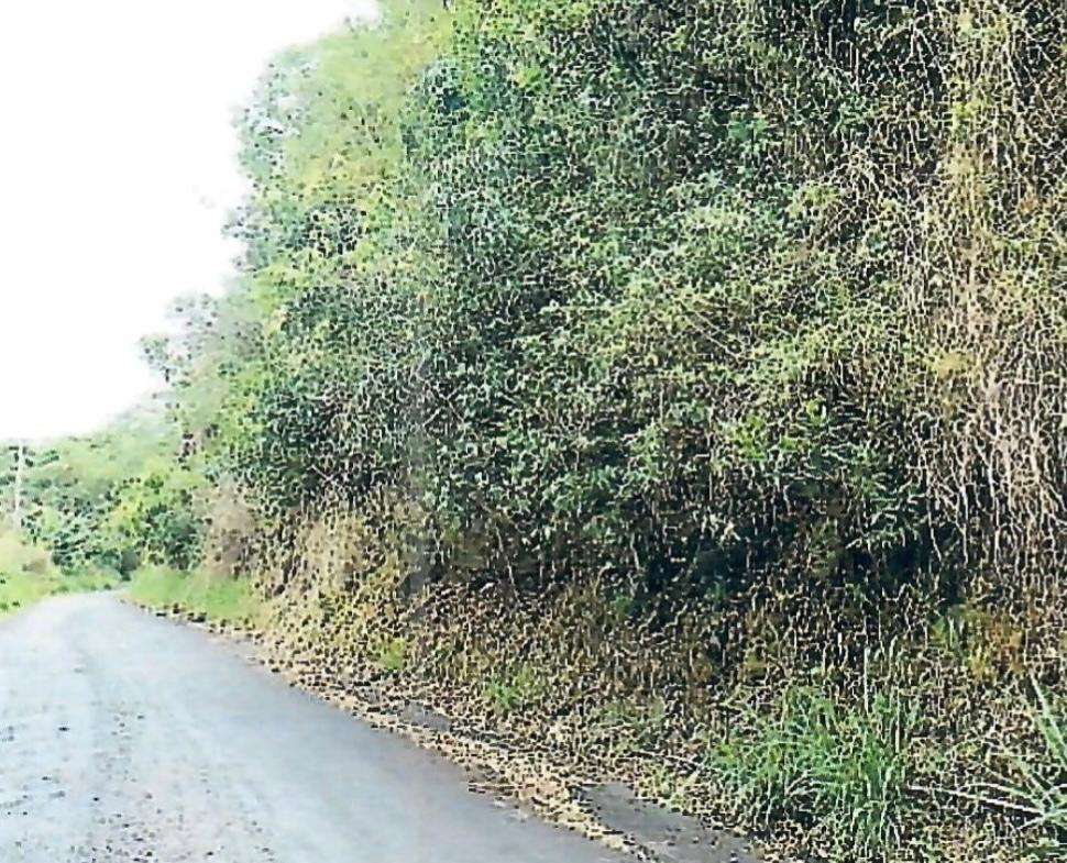 Fifth image of Hermitage Norbrook Kingst in Kingston 8, St. Andrew, Jamaica - property is For Sale