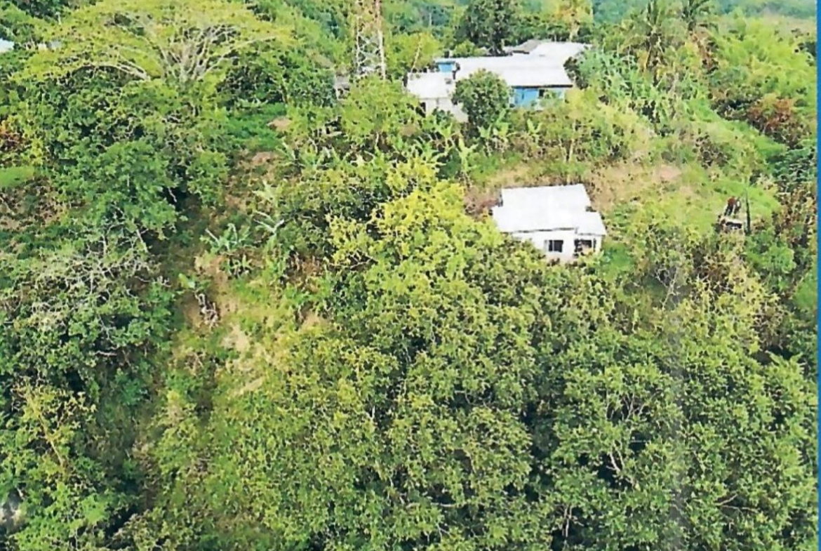 Sixth image of Hermitage Norbrook Kingst in Kingston 8, St. Andrew, Jamaica - property is For Sale