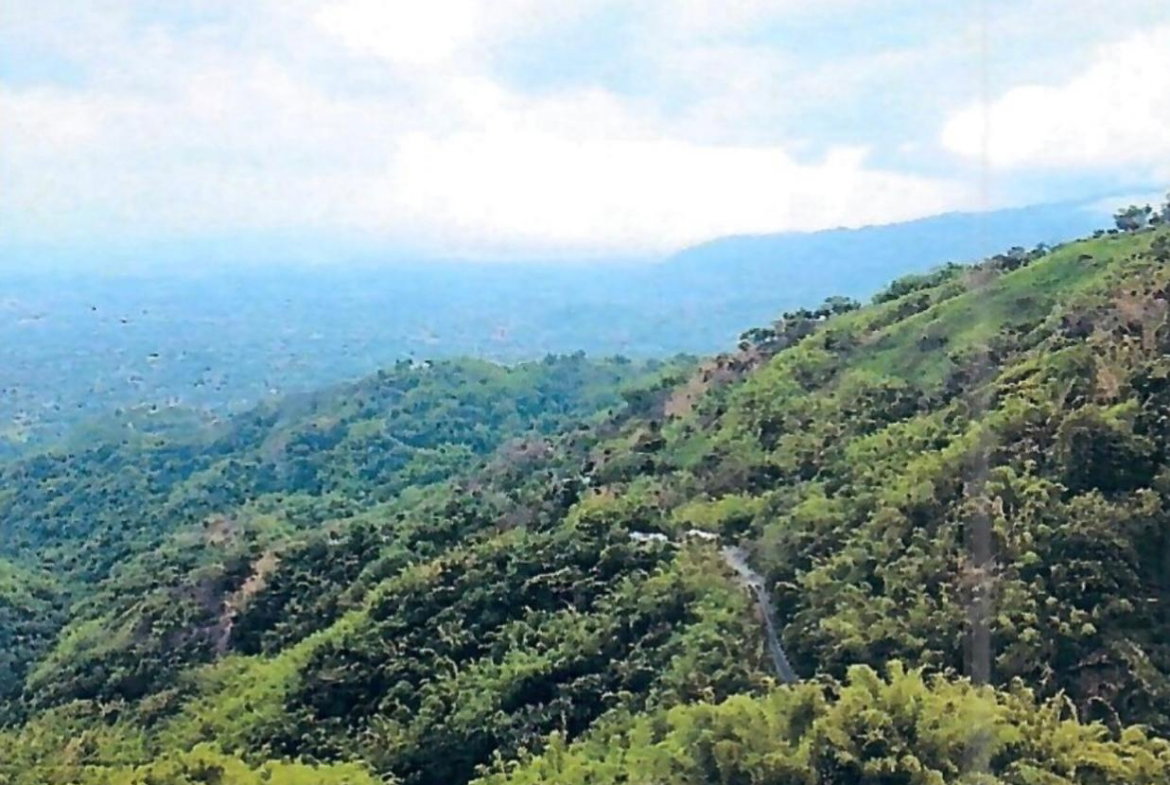 Eighth image of Hermitage Norbrook Kingst in Kingston 8, St. Andrew, Jamaica - property is For Sale