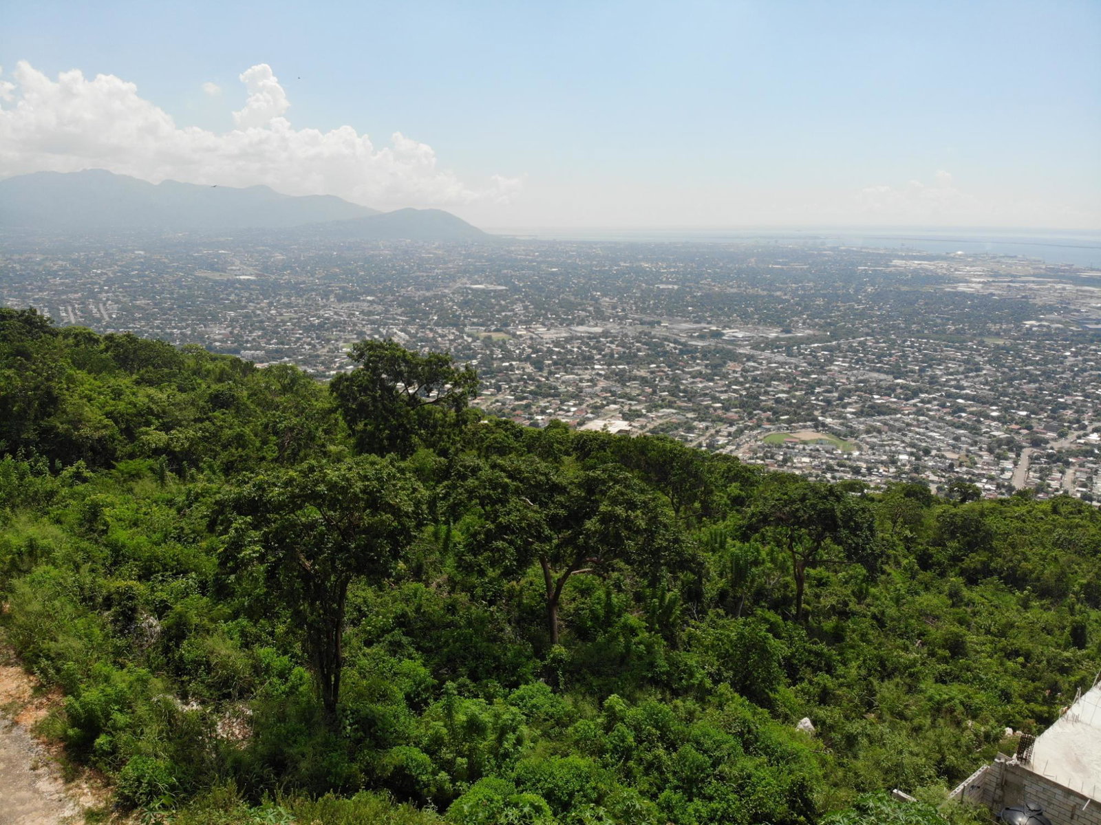 Prime-32000-Sq-Ft-Residential-Lot-for-Sale-23-Pinewood-Drive-St.-Andrew-Jamaica Eleventh image of 23 Pinewood Drive in Red Hills, St. Andrew, Jamaica - property is For Sale