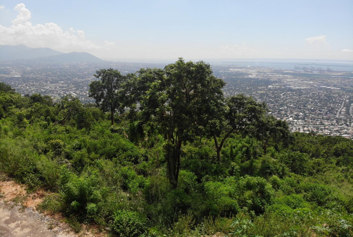 Fourteenth image of 23 Pinewood Drive in Red Hills, St. Andrew, Jamaica - property is For Sale