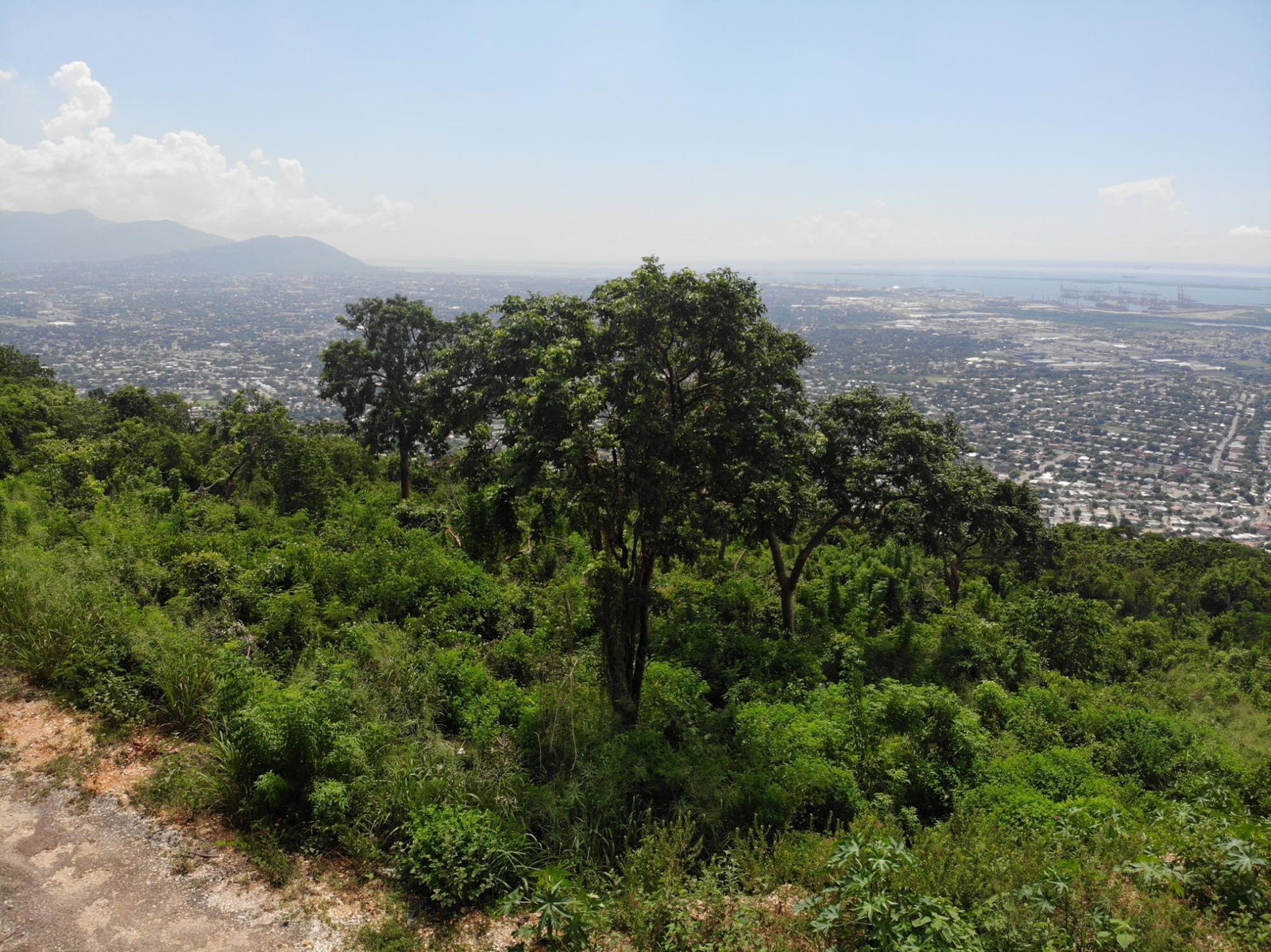 Prime-32000-Sq-Ft-Residential-Lot-for-Sale-23-Pinewood-Drive-St.-Andrew-Jamaica Fourteenth image of 23 Pinewood Drive in Red Hills, St. Andrew, Jamaica - property is For Sale