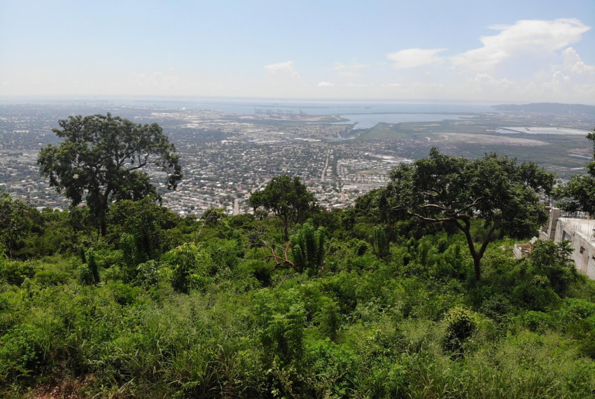 Fifteenth image of 23 Pinewood Drive in Red Hills, St. Andrew, Jamaica - property is For Sale