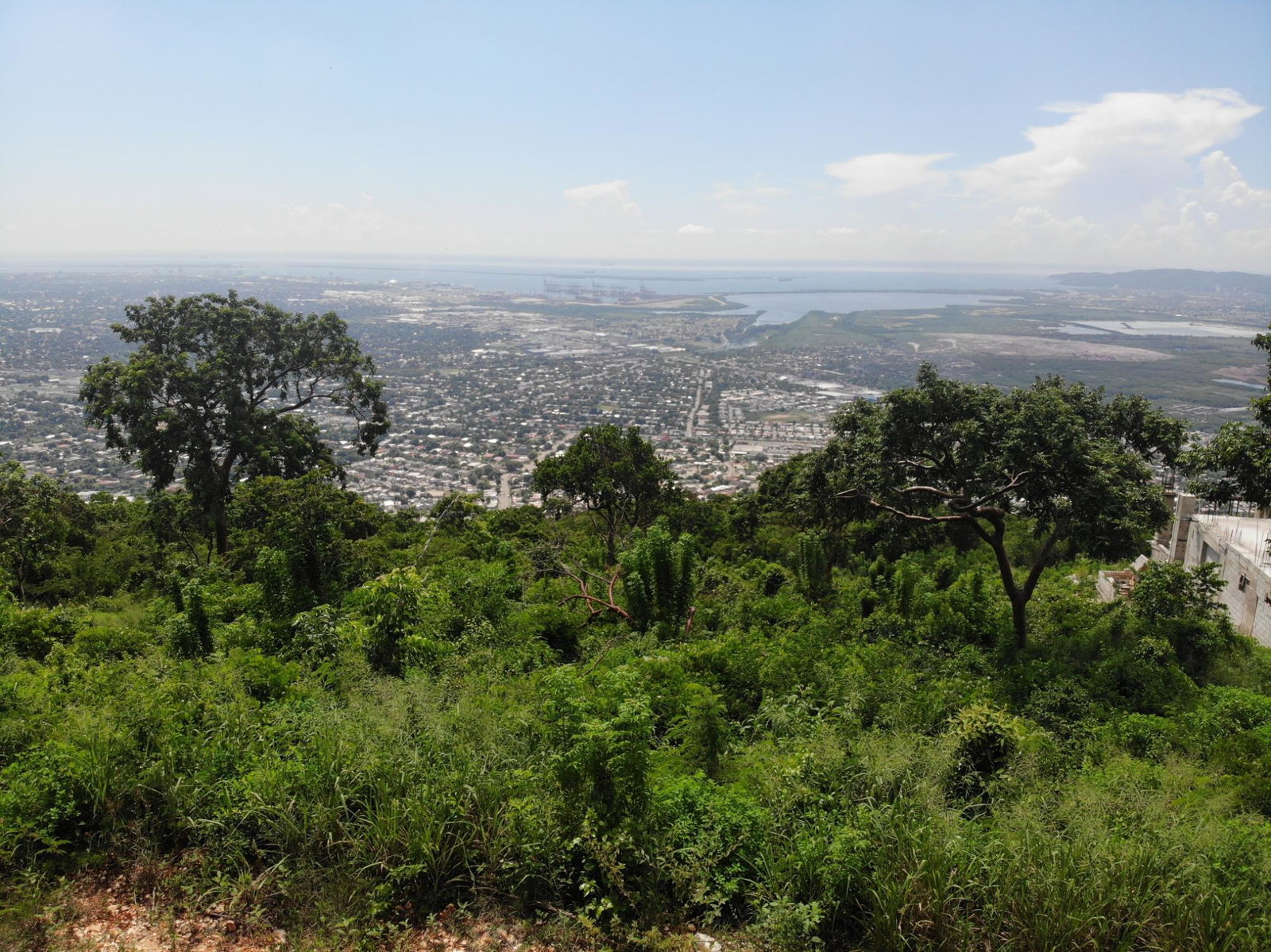 Prime-32000-Sq-Ft-Residential-Lot-for-Sale-23-Pinewood-Drive-St.-Andrew-Jamaica Fifteenth image of 23 Pinewood Drive in Red Hills, St. Andrew, Jamaica - property is For Sale