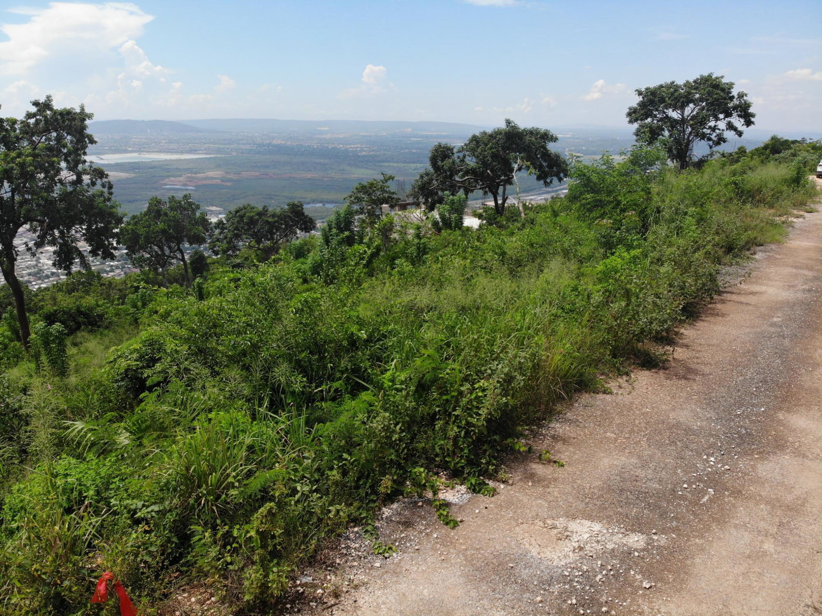 Prime-32000-Sq-Ft-Residential-Lot-for-Sale-23-Pinewood-Drive-St.-Andrew-Jamaica Sixteenth image of 23 Pinewood Drive in Red Hills, St. Andrew, Jamaica - property is For Sale