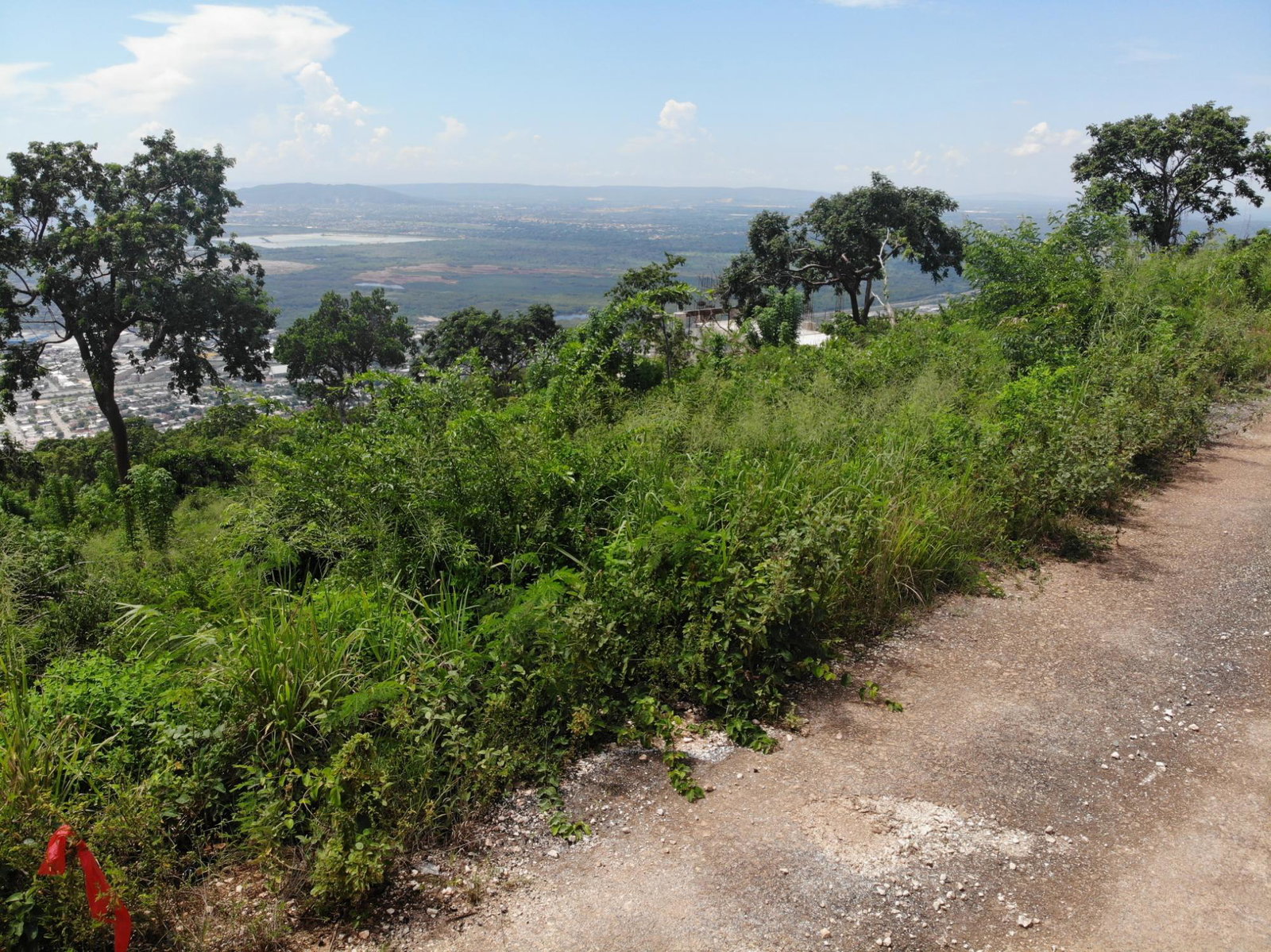 Prime-32000-Sq-Ft-Residential-Lot-for-Sale-23-Pinewood-Drive-St.-Andrew-Jamaica Seventeenth image of 23 Pinewood Drive in Red Hills, St. Andrew, Jamaica - property is For Sale