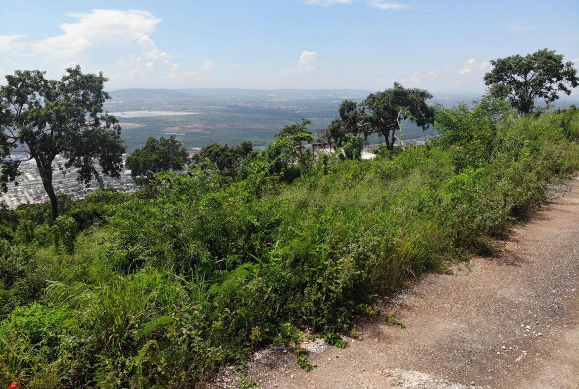 Eighteenth image of 23 Pinewood Drive in Red Hills, St. Andrew, Jamaica - property is For Sale
